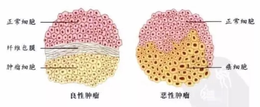 640.webp (50).jpg