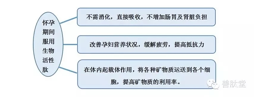 640.webp (1).jpg