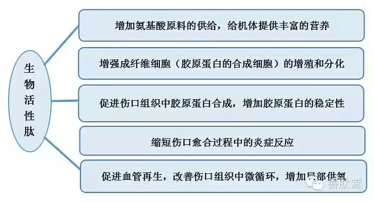 640 (2).webp (21).jpg