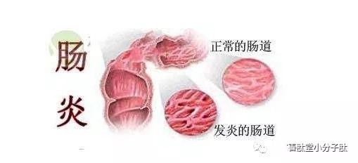 640.webp (24).jpg