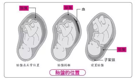 640 (2).webp (20).jpg