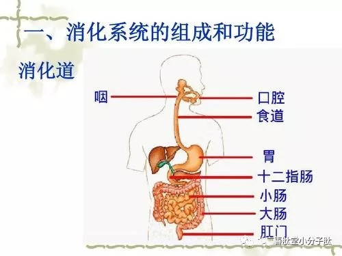 640.webp (28).jpg